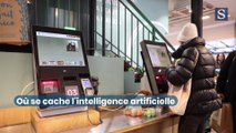 L'intelligence artificielle dans notre quotidien