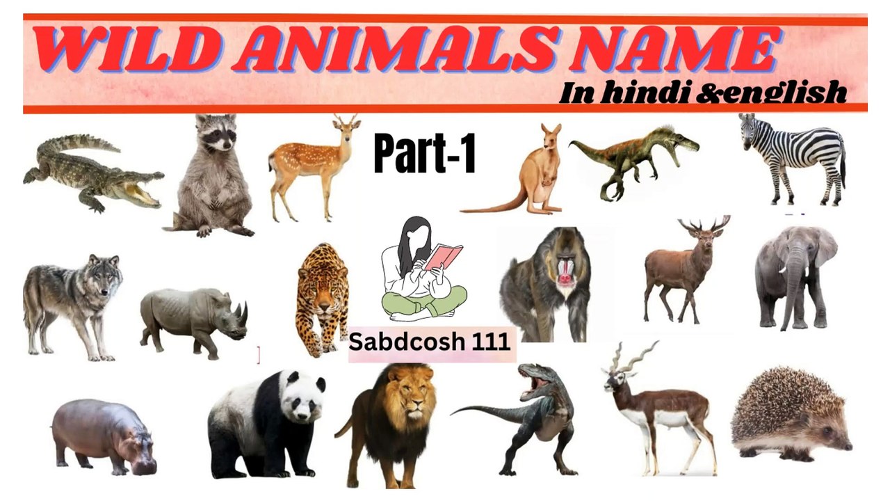 PART-1 WILD animals name in hindi and english#learn english ...