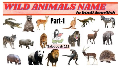 PART-1 WILD animals name in hindi and english#learn english