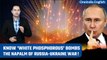 'White Phosphorous' bombs: Kyiv accuses Moscow of using them again | Explainer | Oneindia News