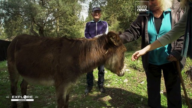 Geheimnisse Griechenlands: malerische Steindörfer und gesundes Olivenöl