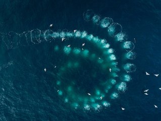 Les Gardiennes de la planète: Trailer HD