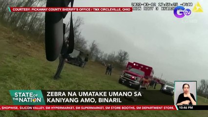 Zebra Attack: Human Assaults Owner, Shot in Incident 🦓