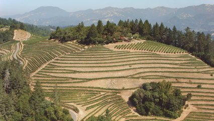 The Napa Wine Train Is Back With an All-New Dining Experience