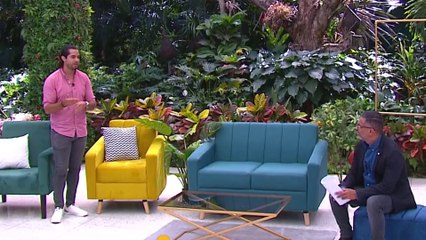 bd-muebles-de-acento-piezas-decorativas-160323