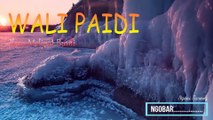 Wali Paidi 02 || Ilmu Melipat Bumi