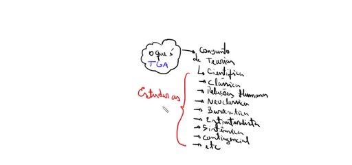 O que é TGA (Teoria Geral da Administração)