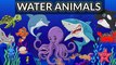 Water animals name hindi and english || जल मे रहने वाले जीवों के नाम || जलचर प्राणी || #wateranimals #wateranimalsforkids  #viral #trending  #tutiontime #cocomelon #kidsyoutube   Hello kids ☺️ Hope you like my videos please like and subscribe