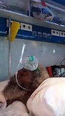 Me Ciré Cledor Ly évacué d’urgence à l’hôpital