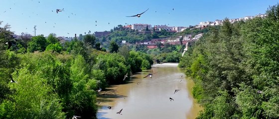 Iberia, naturaleza infinita - Tráiler oficial -