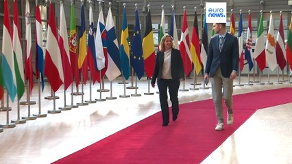 Hickhack um Verbrenner sorgt für institutionellen Streit in der EU