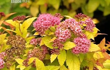 How to Be a Gardener episode 13