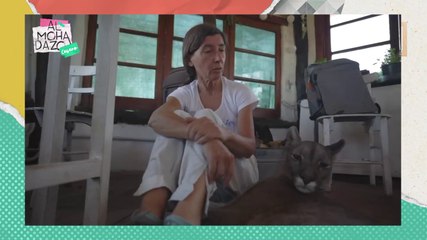 La historia de Estanislao, el puma con el sistema nervioso dañado