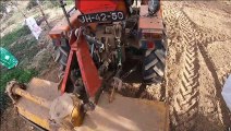 Tractor Goldoni 933 RS DT | Tilling olive trees planted in March 2021