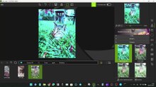 migliorare le immagini gratuitamente con inPixio foto editor