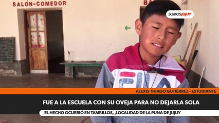 Llevó a su oveja a la escuela para no dejarla sola - Somos Jujuy