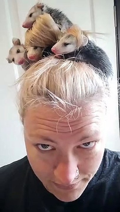 Opossum Mom Life