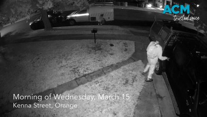 Alleged thieves on the prowl