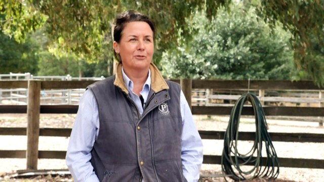 Government's plan to tax 'unrealised gains' a big worry for farmers as $3m threshold threatens retirement plans