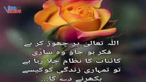 Urdu Best Quotes About Life | Life Quotes In Urdu 2 lines | Amazing Quotes In Urdu Text