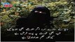 Islamic hijab Poetry in urdu| Beautiful Hijab Quotes in Urdu| Attitude hijab Quotes in Urdu