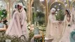 Alanna Panday Wedding Video Viral, Saat Phere से लेकर Wedding Rituals का Inside Video | Boldsky