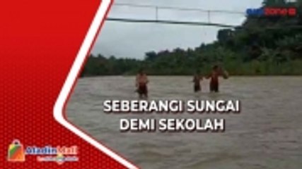 Siswa SD di Sikka Bertaruh Nyawa Seberangi Sungai demi Bersekolah