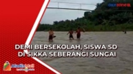 Bertaruh Nyawa, Siswa SD di Sikka Seberangi Sungai Demi Bersekolah