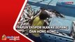 Papua Ekspor Ikan ke Jepang dan Hong kong