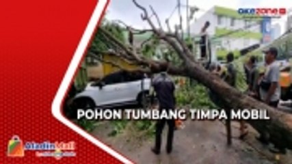 Скачать видео: Pohon Tumbang dan Timpa Mobil di Sunter Agung, Akibat Hujan Disertai Angin Kencang