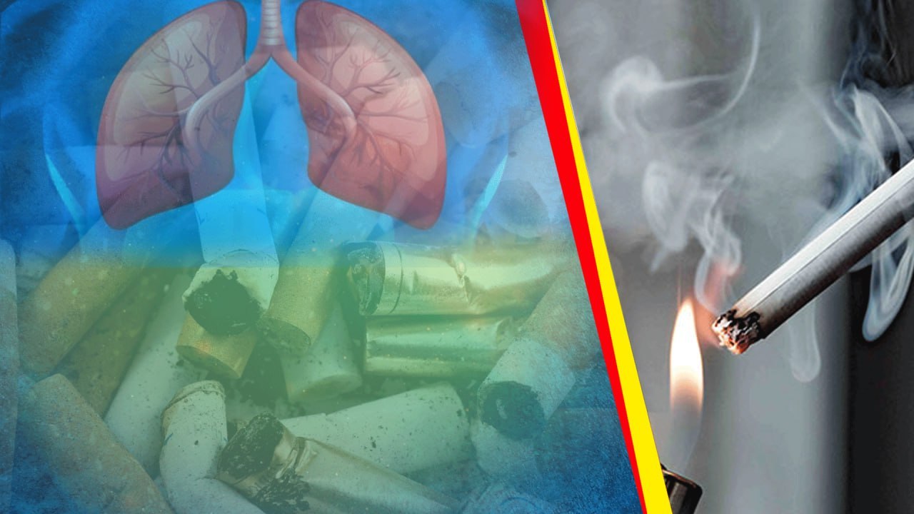 Smoke చేసేవారు ఇవి తాగితే ఊపిరితిత్తులు శుభ్రం అవుతాయా..