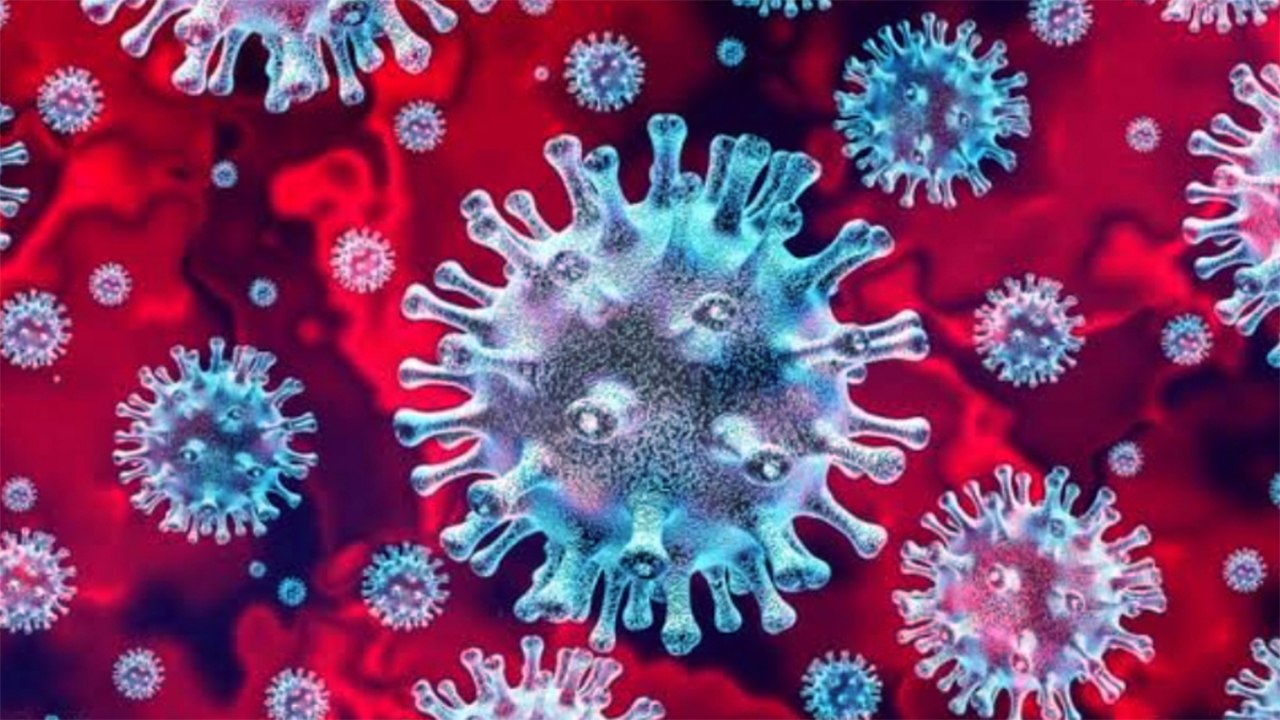 मध्यप्रदेश में इन्फ्लूएंजा H3N2 का भोपाल में मिला पहला केस, मंत्री विश्वास सारंग ने दी जानकारी