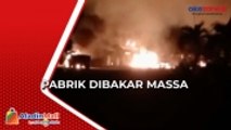 Warga Tewas Ditembak, Pabrik Pengolahan Sawit Dibakar Massa di Way Kanan Lampung