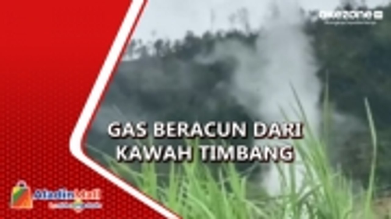 Gas Beracun Muncul dari Kawah Timbang Dieng, Warga Diminta Tidak Mendekat