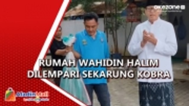 Jelang Kedatangan Anies Baswedan, Rumah Wahidin Halim Dilempari Sekarung Ular Kobra