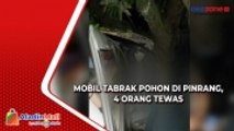 Sopir Diduga Ngantuk Mobil Tabrak Pohon di Pinrang, 4 Orang Tewas