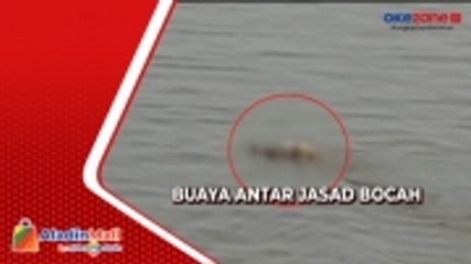 Buaya Antar Jasad Bocah Tenggelam ke Pinggir Sungai