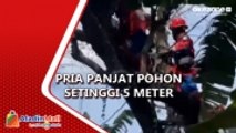 Berhalusinasi Usai Konsumsi Miras dan Narkoba, Pria Panjat Pohon Setinggi 5 Meter