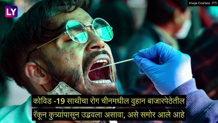 COVID-19: वुहान मार्केटमधील रॅकून कुत्र्यांपासून कोरोनाची उत्पत्ती, एक नवीन पुरावा आला समोर