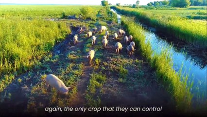 Peter Zeihan  Most People Dont Realize Whats Coming_