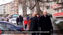 Kediyle karganın ağaç üstünde güldüren kavgası kameralara yansıdı