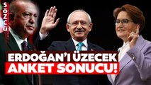 Sarayın ve Erdoğan'ın Uykularını Kaçıracak Anket Ortaya Çıktı! Çarpıcı İYİ Parti Detayı