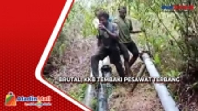 Makin Brutal KKB Papua Tembaki Pesawat Terbang dan Potong Pipa Air Bersih Warga, TNI Polri Diminta Tegas