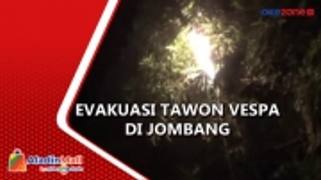 Resahkan Warga, Sarang Tawon Vespa Dibakar Petugas Damkar di Jombang