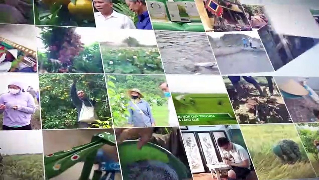 Thông tin khuyến nông- Xử lý đáy ao là yếu tố quyết định năng suất vụ cá