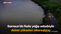 Samsun'da deniz kahverengiye döndü