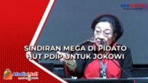 Pidato di HUT PDIP, Megawati:  Jokowi Tak Ada Apa-Apa Tanpa PDIP