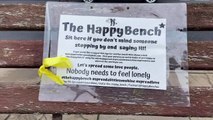 Meet the woman who brought happy benches to Hartlepool in her yellow van of love