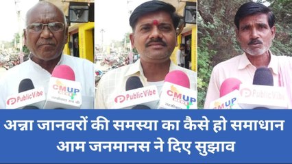 झांसी: अन्ना जानवरों से कैसे मिले निजात, आम जनमानस ने रोकथाम के दिए सुझाव