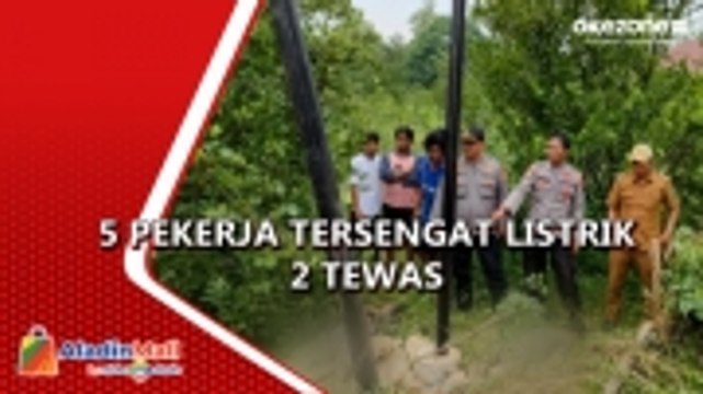 Pasang Tiang 5 Pekerja Tersengat Listrik di Konawe, 2 Orang Tewas